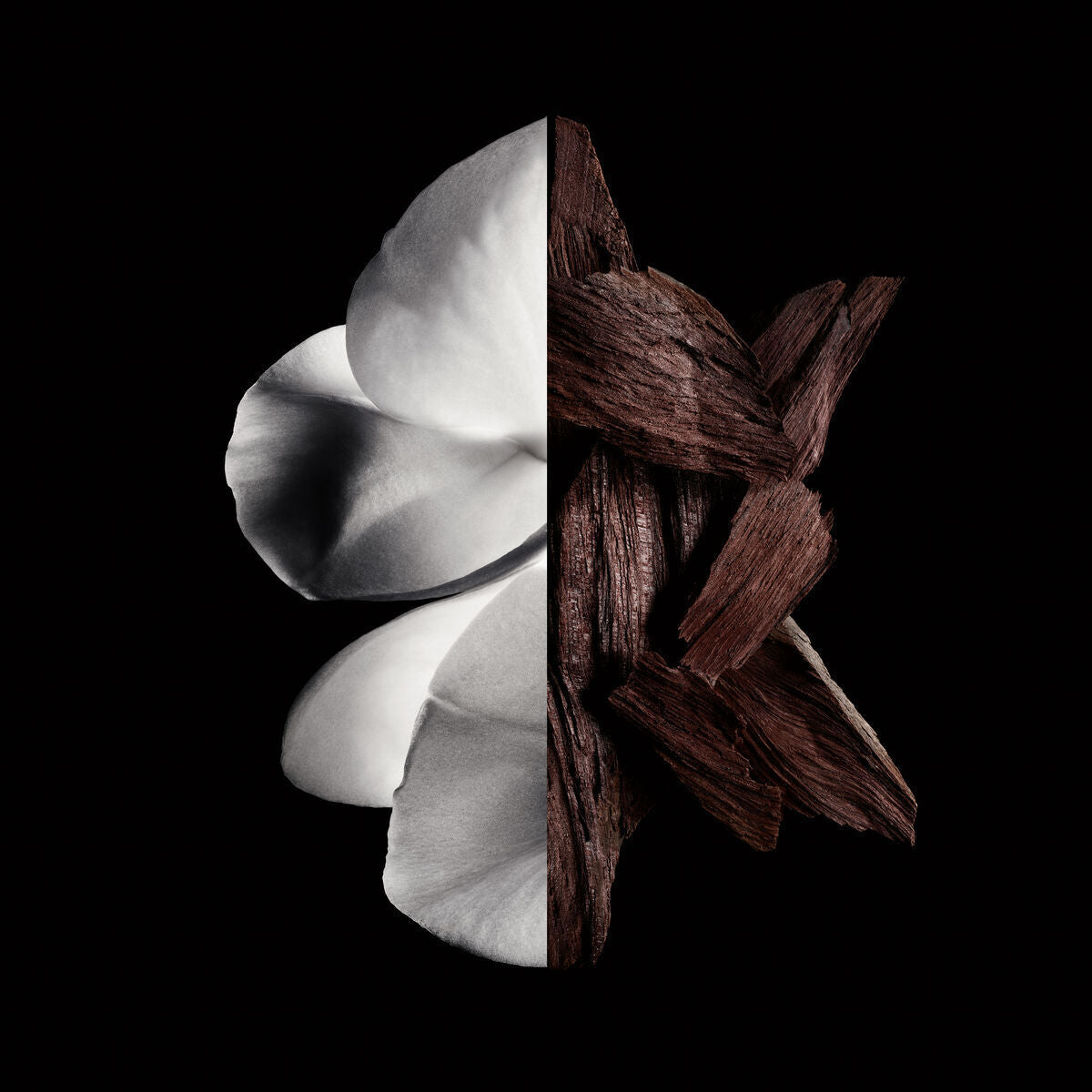 Women's Perfume Givenchy Gentleman Boisée 200 ml